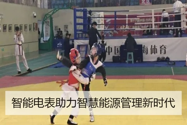 智能电表助力智慧能源管理新时代