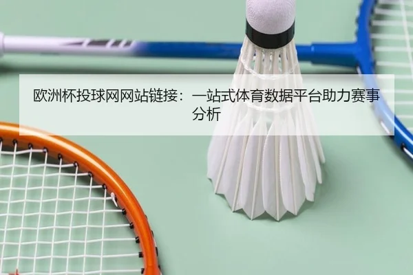 欧洲杯投球网网站链接：一站式体育数据平台助力赛事分析